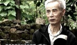 热门冤案爆料视频在线观看,视频爆料背后的真相与反思